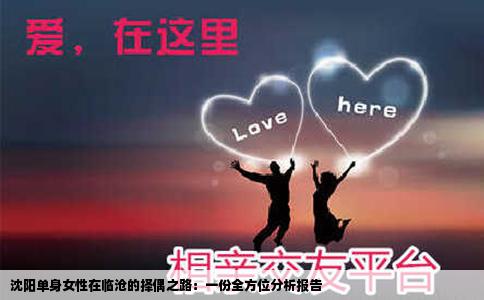 沈阳单身女性在临沧的择偶之路：一份全方位分析报告