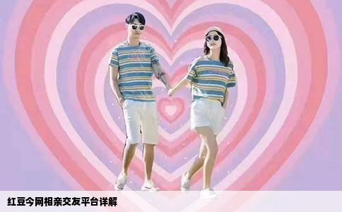 红豆今网相亲交友平台详解