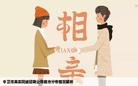 中卫市真实同城征婚公司临沧分布情况解析