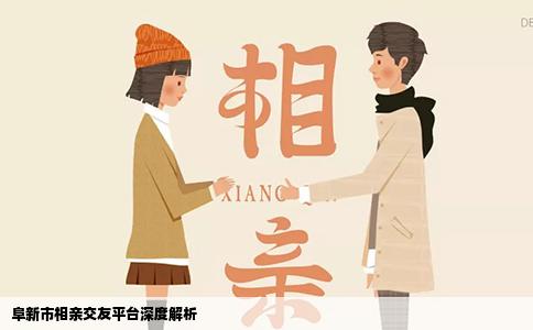 阜新市相亲交友平台深度解析