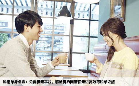 沈阳单身必看：免费相亲平台，临沧有约网带你走进高效率脱单之旅