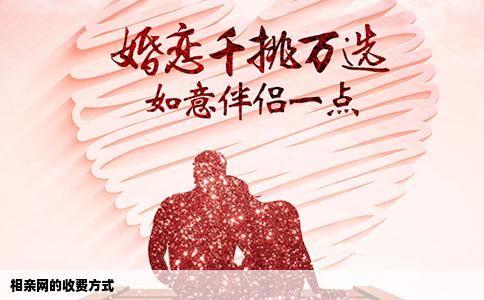 相亲网的收费方式