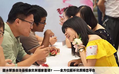 陵水黎族自治县相亲交友哪家靠谱？——全方位解析优质婚恋平台