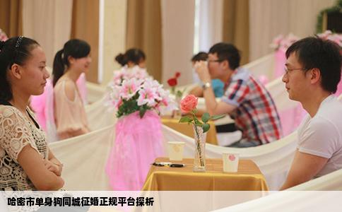 哈密市单身狗同城征婚正规平台探析