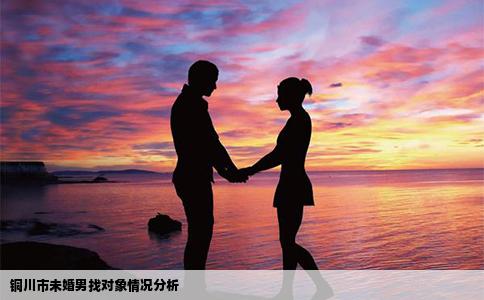 铜川市未婚男找对象情况分析