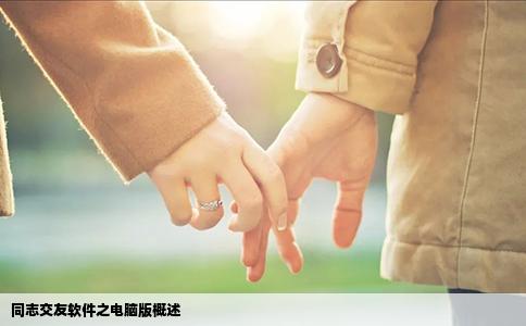 同志交友软件之电脑版概述