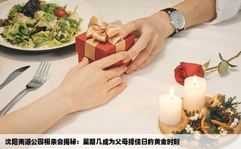 沈阳南湖公园相亲会揭秘：星期几成为父母择佳日的黄金时刻