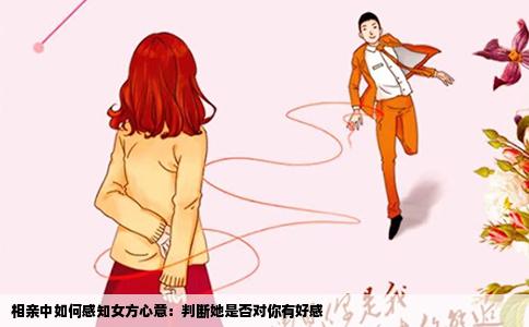 相亲中如何感知女方心意：判断她是否对你有好感
