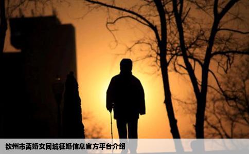 钦州市离婚女同城征婚信息官方平台介绍