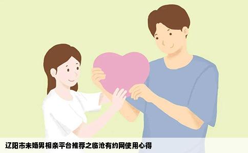 辽阳市未婚男相亲平台推荐之临沧有约网使用心得