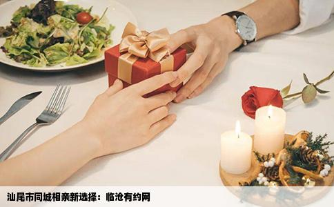 汕尾市同城相亲新选择：临沧有约网