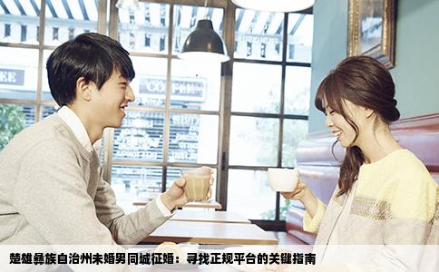 楚雄彝族自治州未婚男同城征婚：寻找正规平台的关键指南