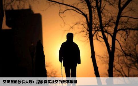 交友互动软件大观：探索真实社交的数字乐园
