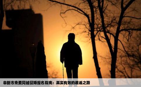 阜新市免费同城征婚报名指南：真实有效的邂逅之路